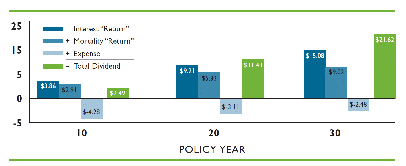 Dividends from Whole Life Insurance Explained